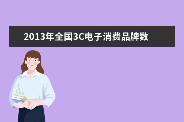 2013年全国3C电子消费品牌数字资产榜