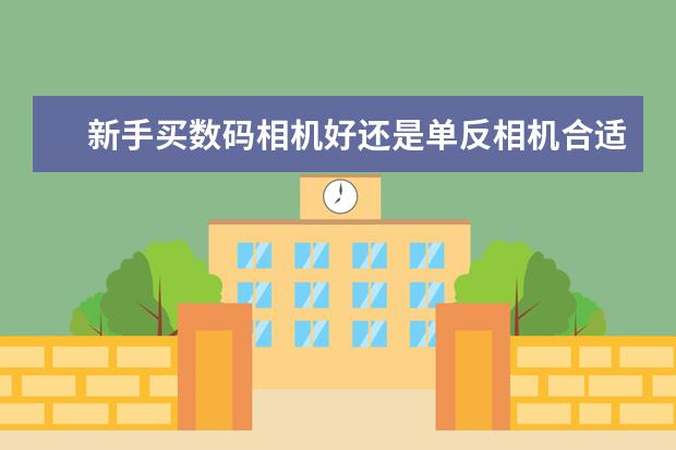 新手买数码相机好还是单反相机合适？