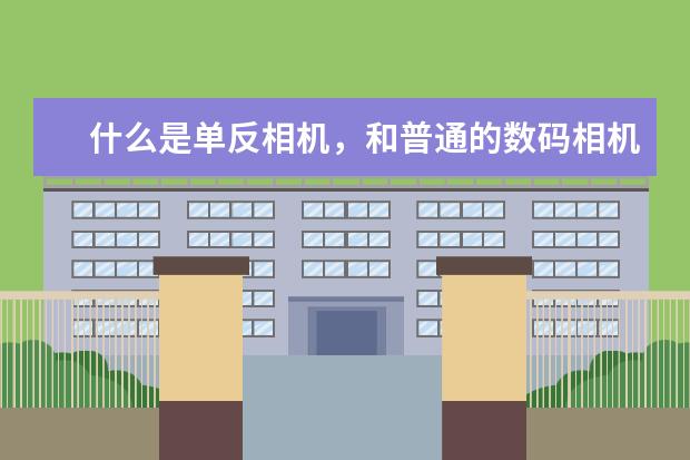 什么是单反相机，和普通的数码相机有什么区别？
