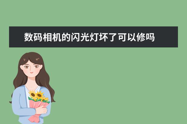 数码相机的闪光灯坏了可以修吗