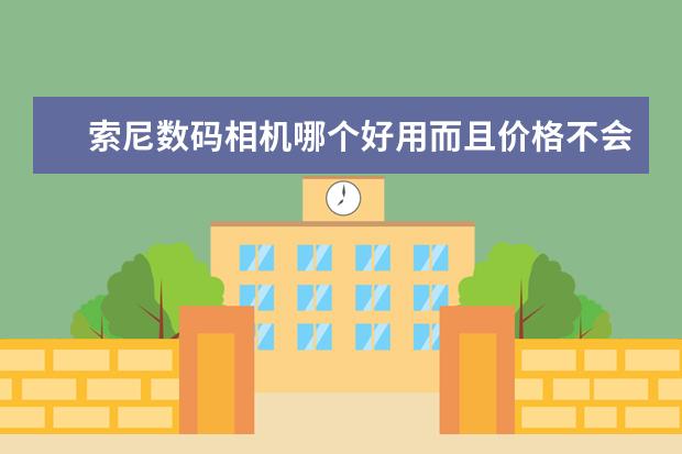 索尼数码相机哪个好用而且价格不会太高.
