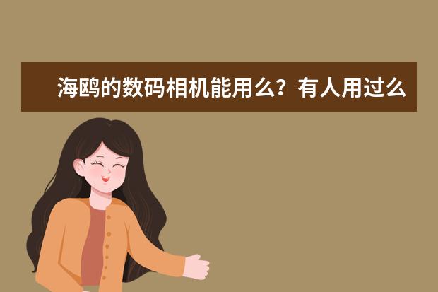 海鸥的数码相机能用么？有人用过么？
