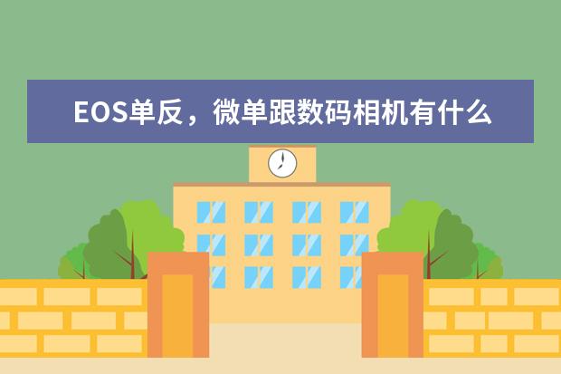 EOS单反，微单跟数码相机有什么区别呢？