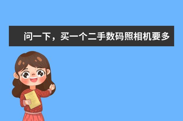 问一下，买一个二手数码照相机要多少钱？