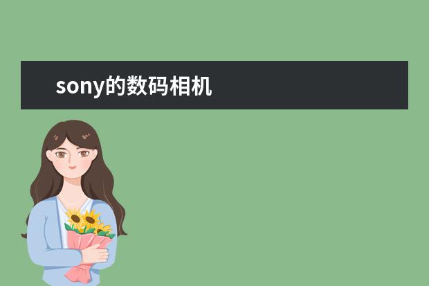 sony的数码相机