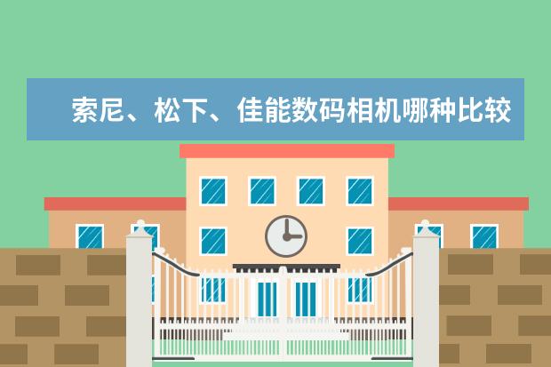 索尼、松下、佳能数码相机哪种比较好