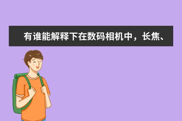 有谁能解释下在数码相机中，长焦、单反、旁轴是怎么意思，区别在哪儿？