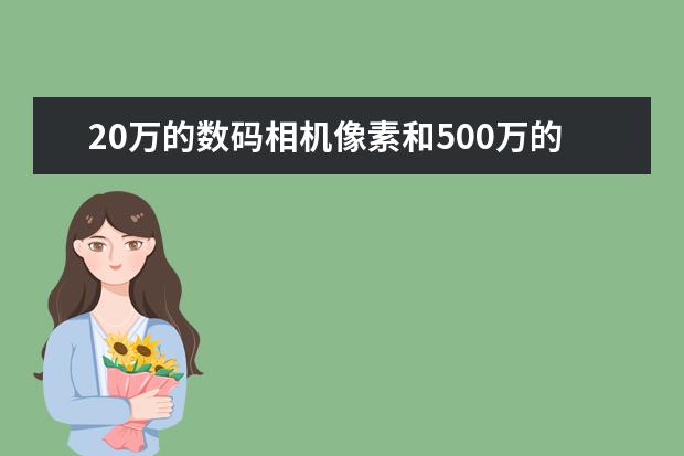 20万的数码相机像素和500万的手机像素哪个好？