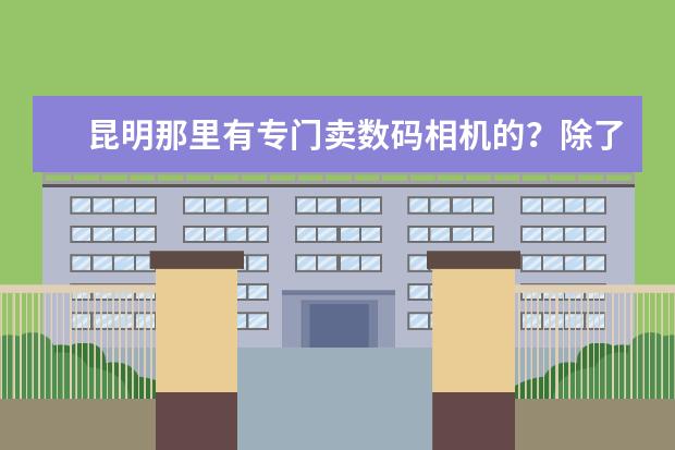 昆明那里有专门卖数码相机的？除了电器城，要行货的？