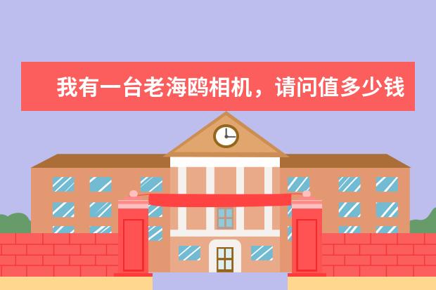 我有一台老海鸥相机，请问值多少钱