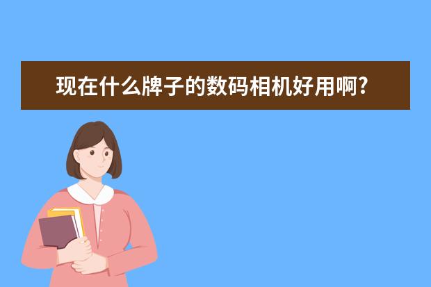 现在什么牌子的数码相机好用啊?