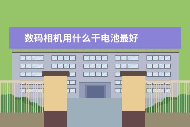 数码相机用什么干电池最好
