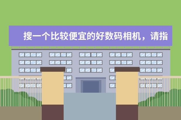 搜一个比较便宜的好数码相机，请指教