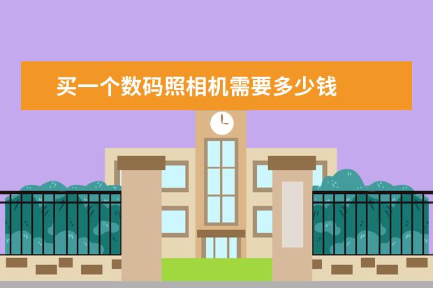 买一个数码照相机需要多少钱