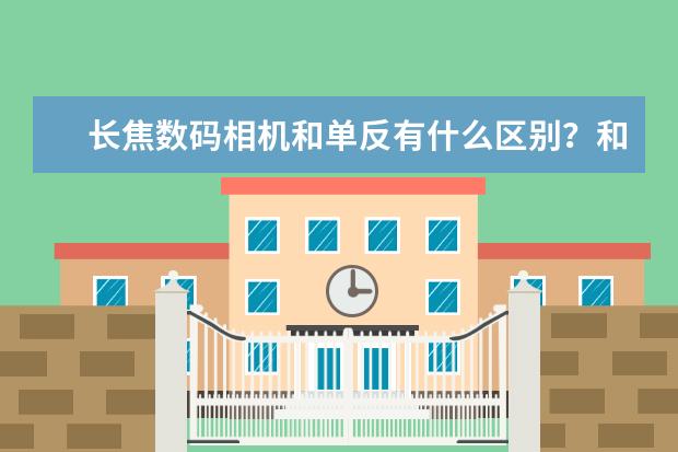 长焦数码相机和单反有什么区别？和普通数码相机呢？？