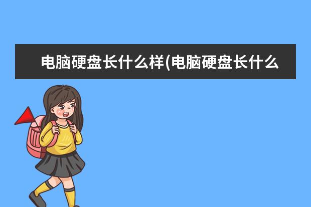 电脑硬盘长什么样(电脑硬盘长什么样子图片)