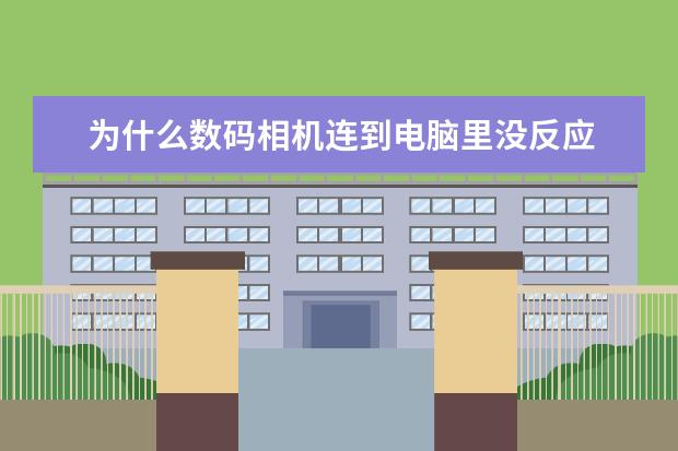 为什么数码相机连到电脑里没反应