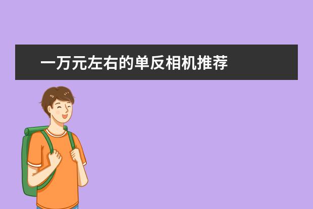 一万元左右的单反相机推荐