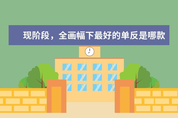 现阶段，全画幅下最好的单反是哪款？