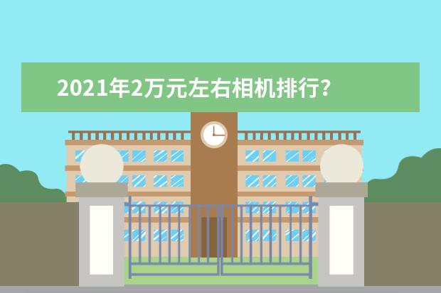 2021年2万元左右相机排行？