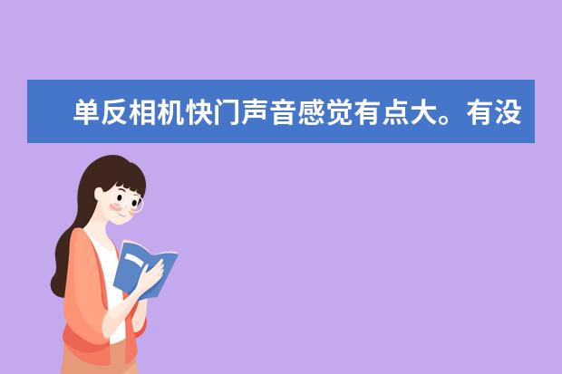 单反相机快门声音感觉有点大。有没有其它成像优秀数码相机?