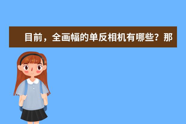 目前，全画幅的单反相机有哪些？那台较便宜？