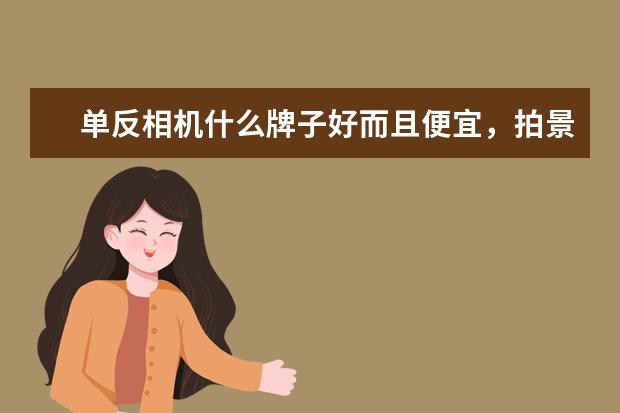 单反相机什么牌子好而且便宜，拍景物比较多
