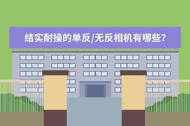 结实耐操的单反/无反相机有哪些？