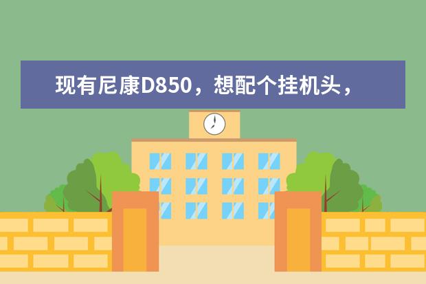 现有尼康D850，想配个挂机头，有好的建议么？