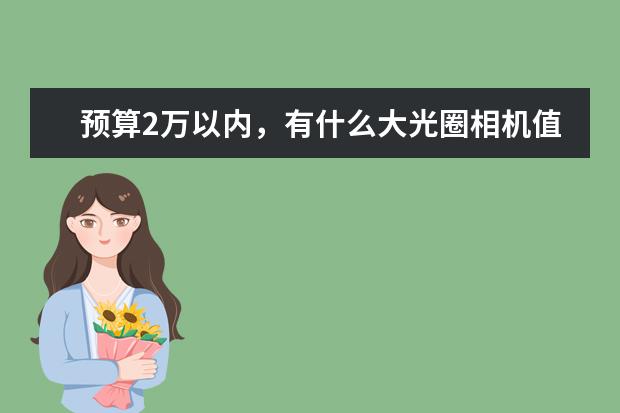 预算2万以内，有什么大光圈相机值得推荐吗？