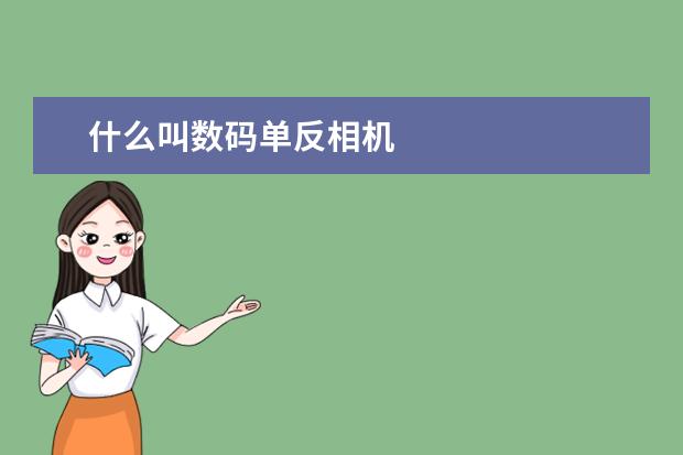 什么叫数码单反相机