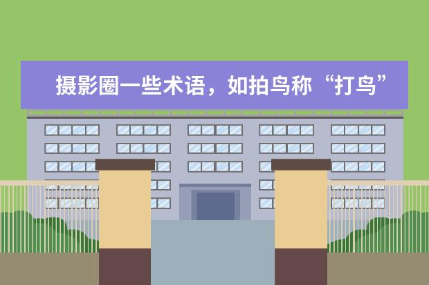 摄影圈一些术语，如拍鸟称“打鸟”街拍称“扫街”C画幅镜头称为“狗头”你认可吗？