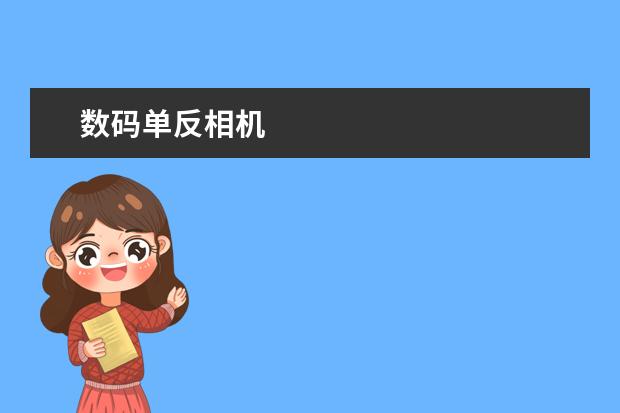 数码单反相机