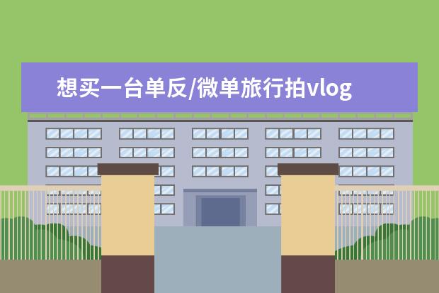 想买一台单反/微单旅行拍vlog视频和照片用，求推荐？