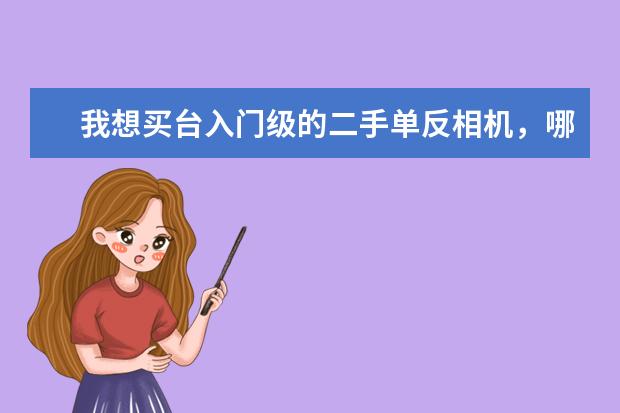 我想买台入门级的二手单反相机，哪个牌子的好点