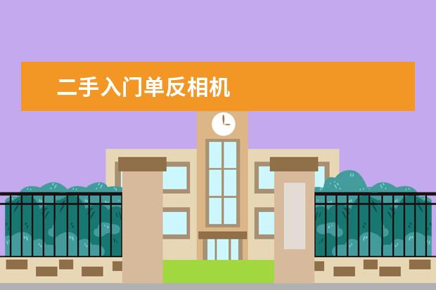 二手入门单反相机