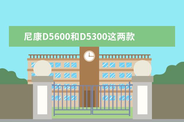 尼康D5600和D5300这两款相机拍摄电商家具怎么样？拍摄家具用什么镜头合适？