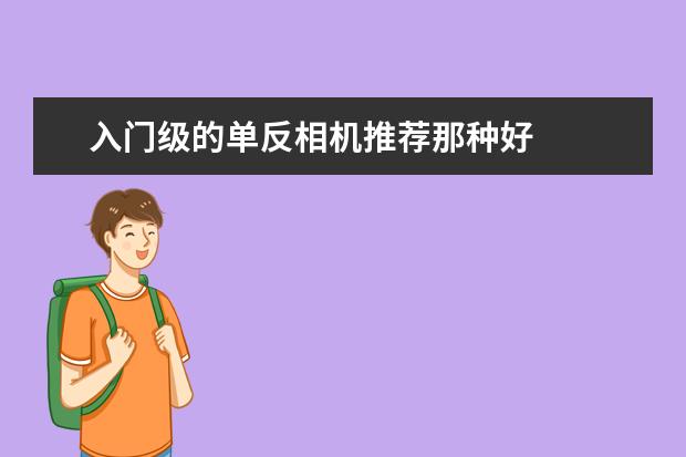 入门级的单反相机推荐那种好