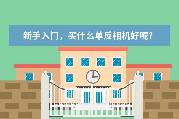 新手入门，买什么单反相机好呢？