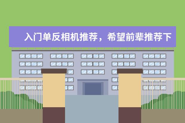 入门单反相机推荐，希望前辈推荐下性价比高的，个人目前比较纠结于尼康D3100、佳能500D，1100D，索尼A390