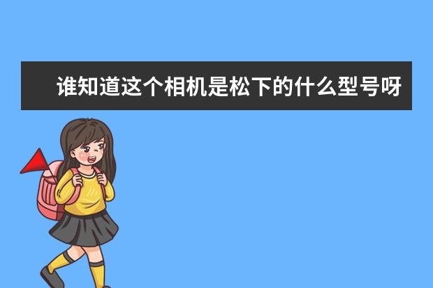谁知道这个相机是松下的什么型号呀？据说新出了第二代可以自拍