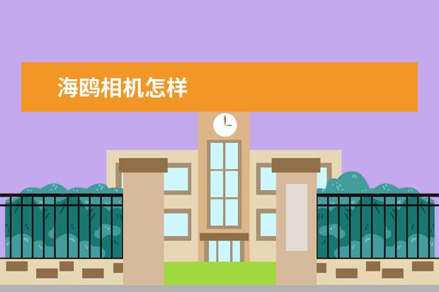 海鸥相机怎样