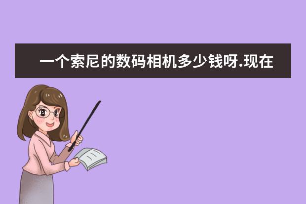 一个索尼的数码相机多少钱呀.现在市价上面