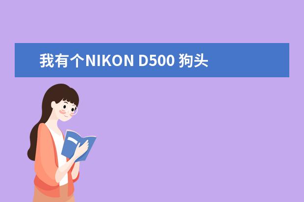 我有个NIKON D500 狗头实在不想用 想添置新镜头 广角 微距 和人像有什么推荐吗