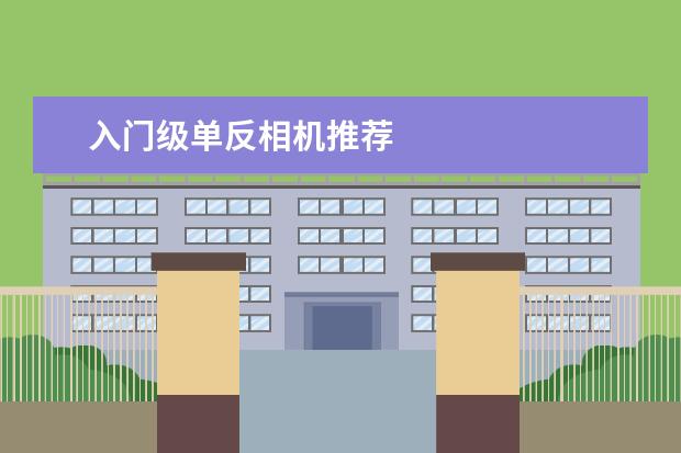 入门级单反相机推荐