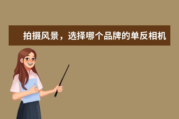 拍摄风景，选择哪个品牌的单反相机比较好