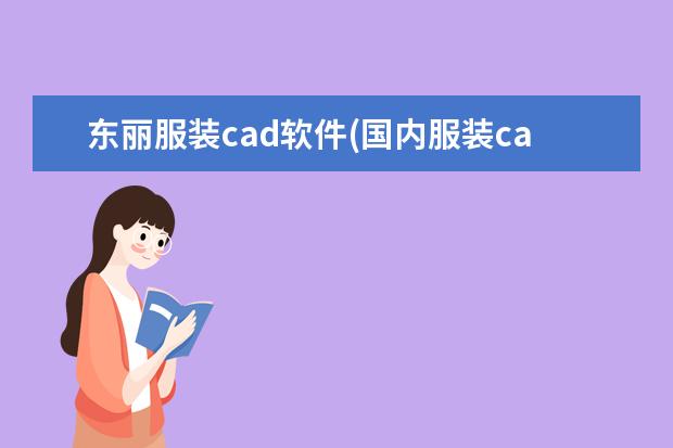 东丽服装cad软件(国内服装cad软件排名)