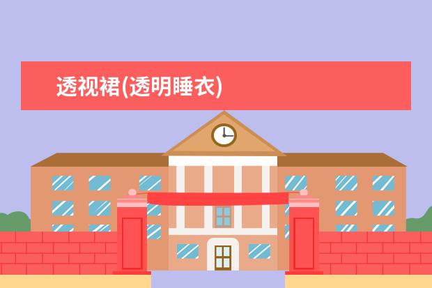 透视裙(透明睡衣)