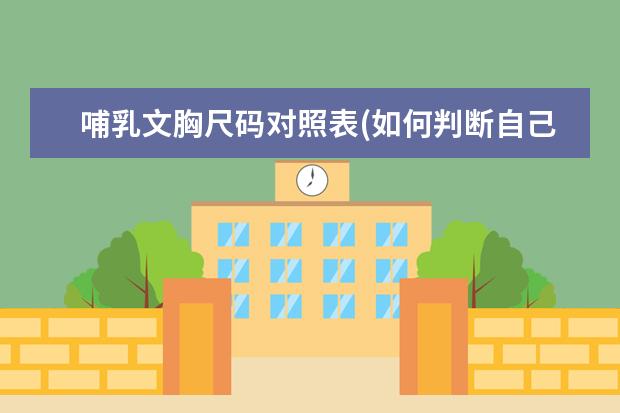 哺乳文胸尺码对照表(如何判断自己是AB杯)