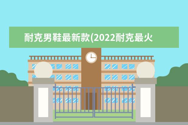 耐克男鞋最新款(2022耐克最火的女鞋)
